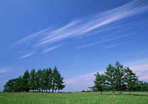 富士市における信頼の葬儀サービス:富士葬祭 富士鷹岡の特徴と導入ガイド