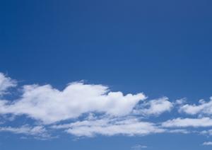 2025年最新版 川越で家族葬を検討する方必見!成功する葬儀準備とポイント