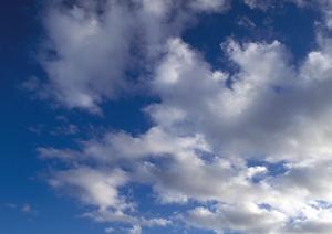 川越市で信頼できる葬儀サービスを見つけるための完全ガイド