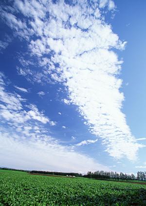 静岡県浜松市における家族葬の専門斎場「家族葬のタクセル領家」の詳細と魅力