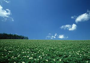 静岡県富士市の家族葬・家族葬ホール【公式】家族葬のタクセル天間｜安心価格と充実のサービスを提供