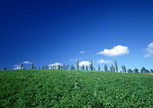 富士市青島の家族葬・小規模葬儀場【富士葬祭 富士青島】の詳細情報と特徴解説