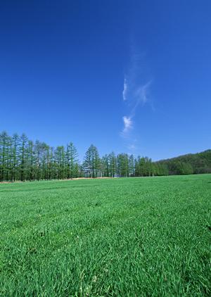 静岡県対応の家族葬・一日葬・火葬費用案内【家族葬のタクセル】低価格で安心の葬儀サービス