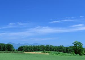 静岡市葵区に新規オープンした家族葬専門斎場「家族葬のタクセル丸山町」の詳細情報と特徴