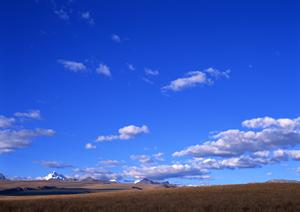 静岡県富士市の安心葬儀を提供する富士葬祭 富士瓜島の全て