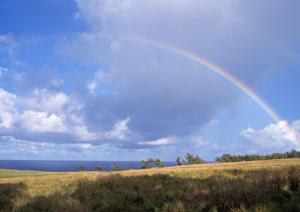 静岡県浜松市における信頼の葬儀サービス：富士葬祭佐鳴台の詳細と特徴
