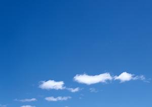 静岡県焼津市の安心家族葬を提供する家族葬のタクセル西焼津:低価格・多宗派対応の葬儀場ガイド